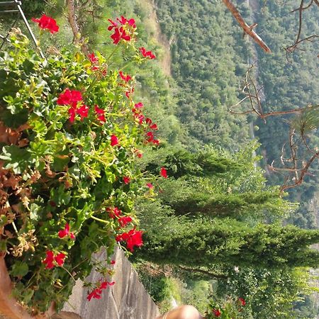 La Codarda Country House Pescosolido ภายนอก รูปภาพ